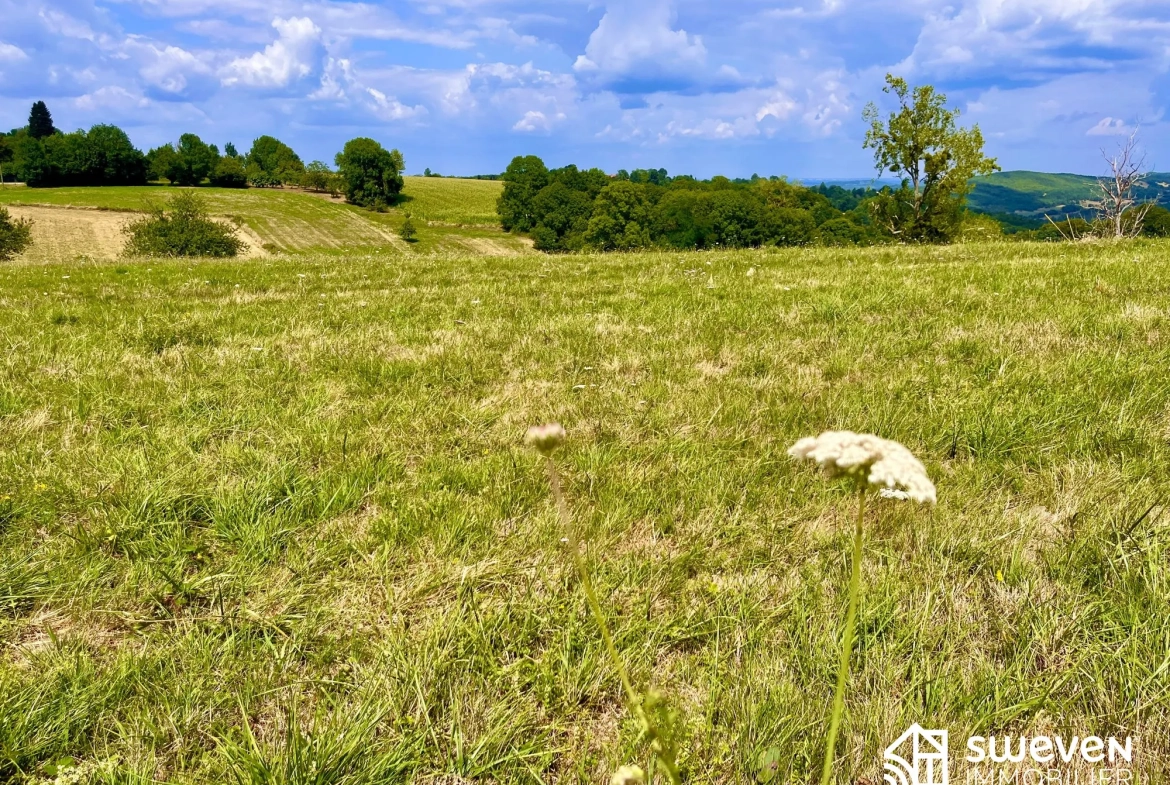 Terrain constructible de 2358 m² avec vue à Sainte Croix Volvestre 