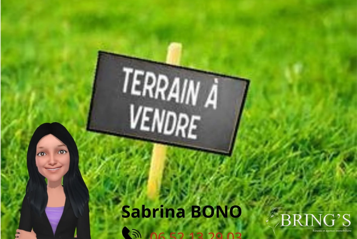 Terrain constructible de 540 m² à Tullins, environnement calme et lumineux 