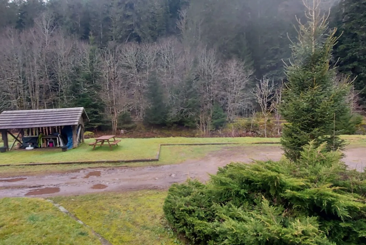 Appartement T3 au rez-de-chaussée avec cave et parking à Gérardmer 