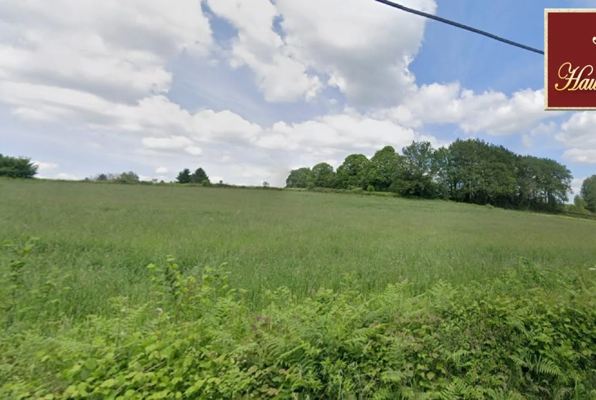 Grande parcelle constructible de 5244 m² à Châteauneuf-la-Forêt 