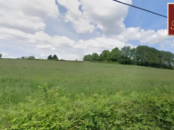 Grande parcelle constructible de 5244 m² à Châteauneuf-la-Forêt