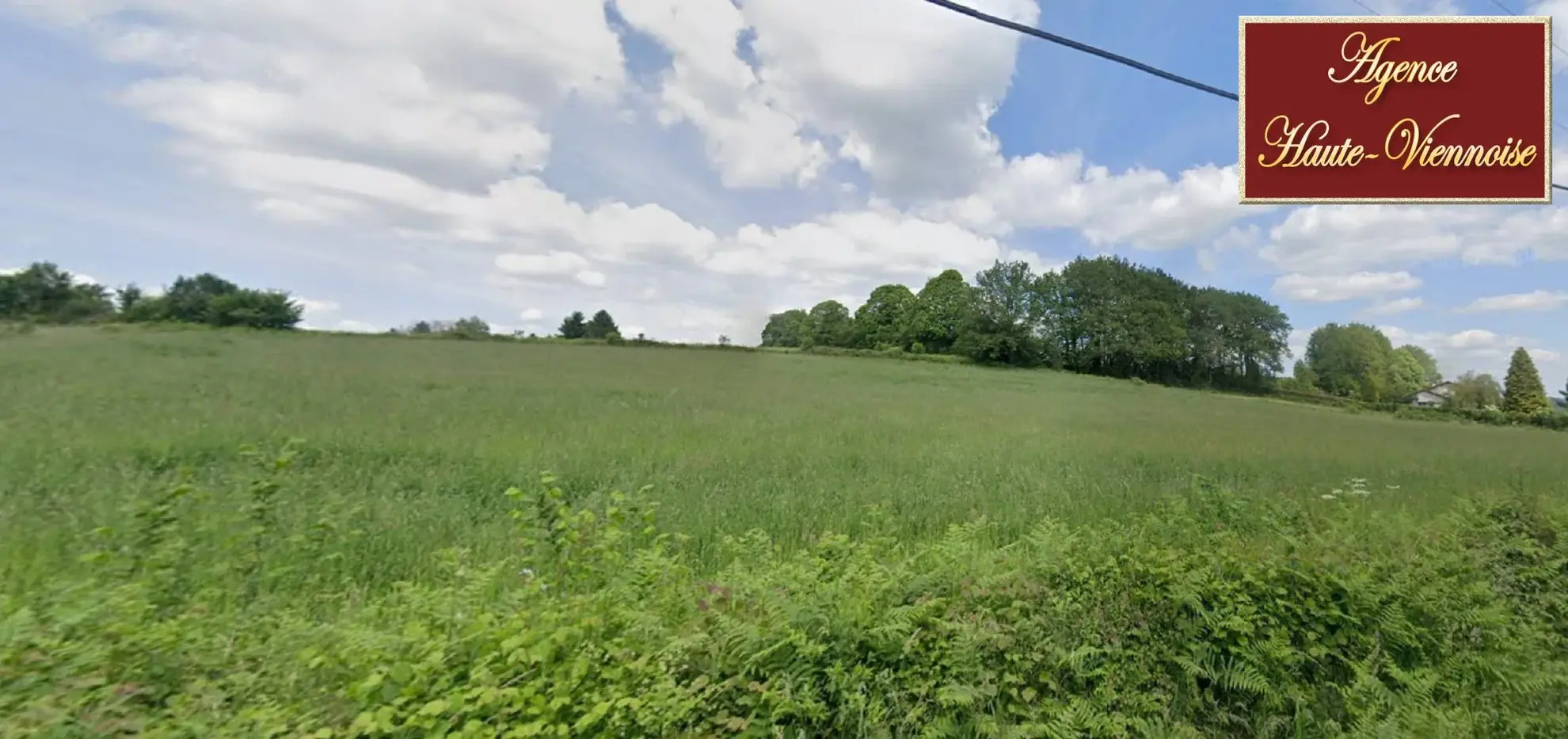 Grande parcelle constructible de 5244 m² à Châteauneuf-la-Forêt 