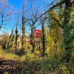Terrain à vendre de 385 m² à Laudun-l'Ardoise, vue dégagée, secteur résidentiel