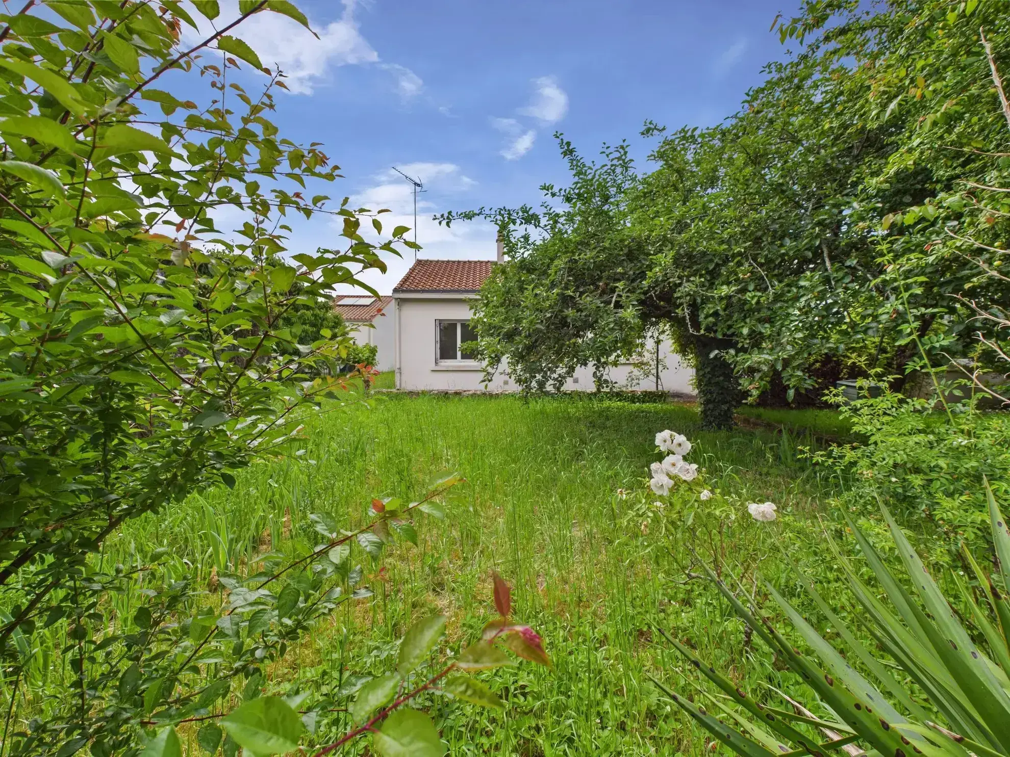 Belle maison de plain-pied avec 4 chambres à Fontenay-le-Comte 