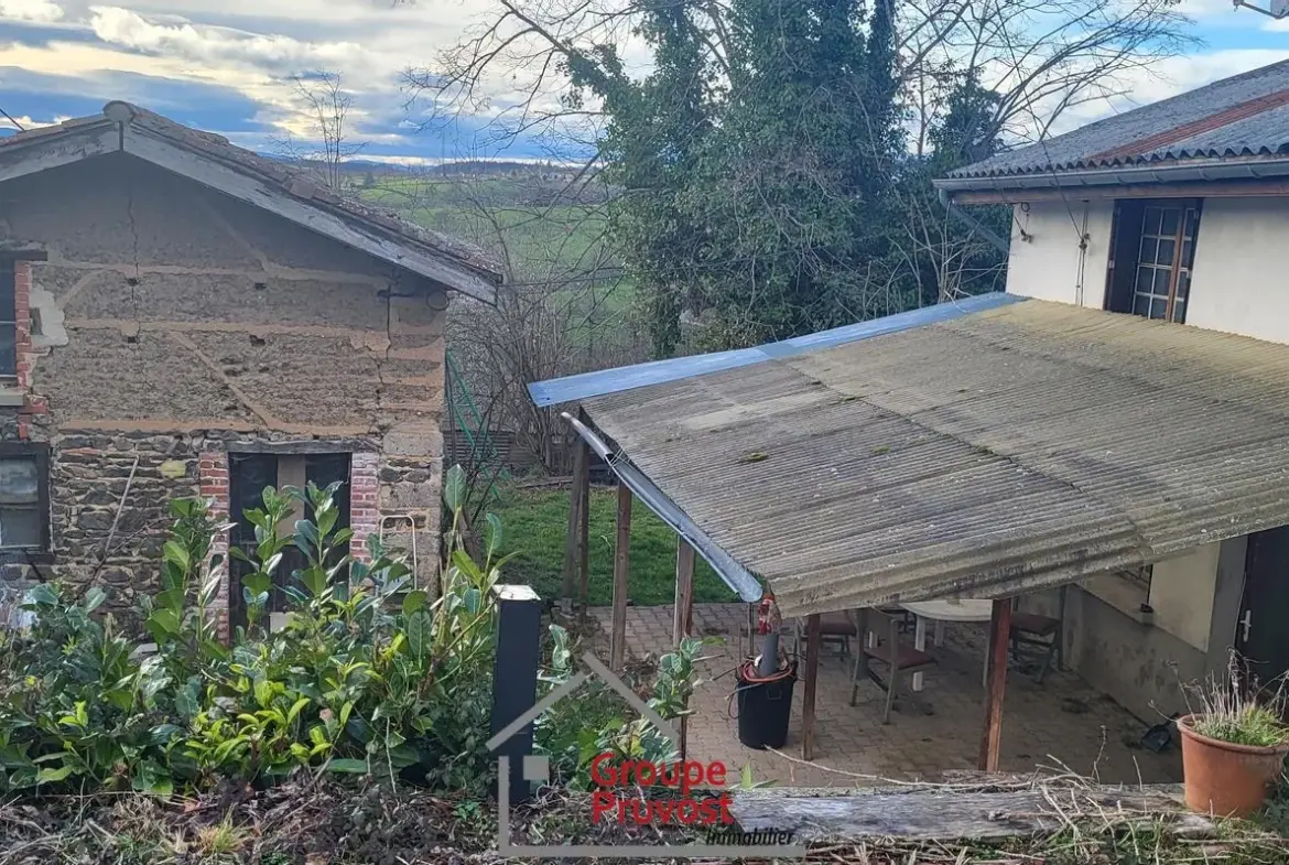 Maisons de campagne à Panissières à rénover avec grand terrain 