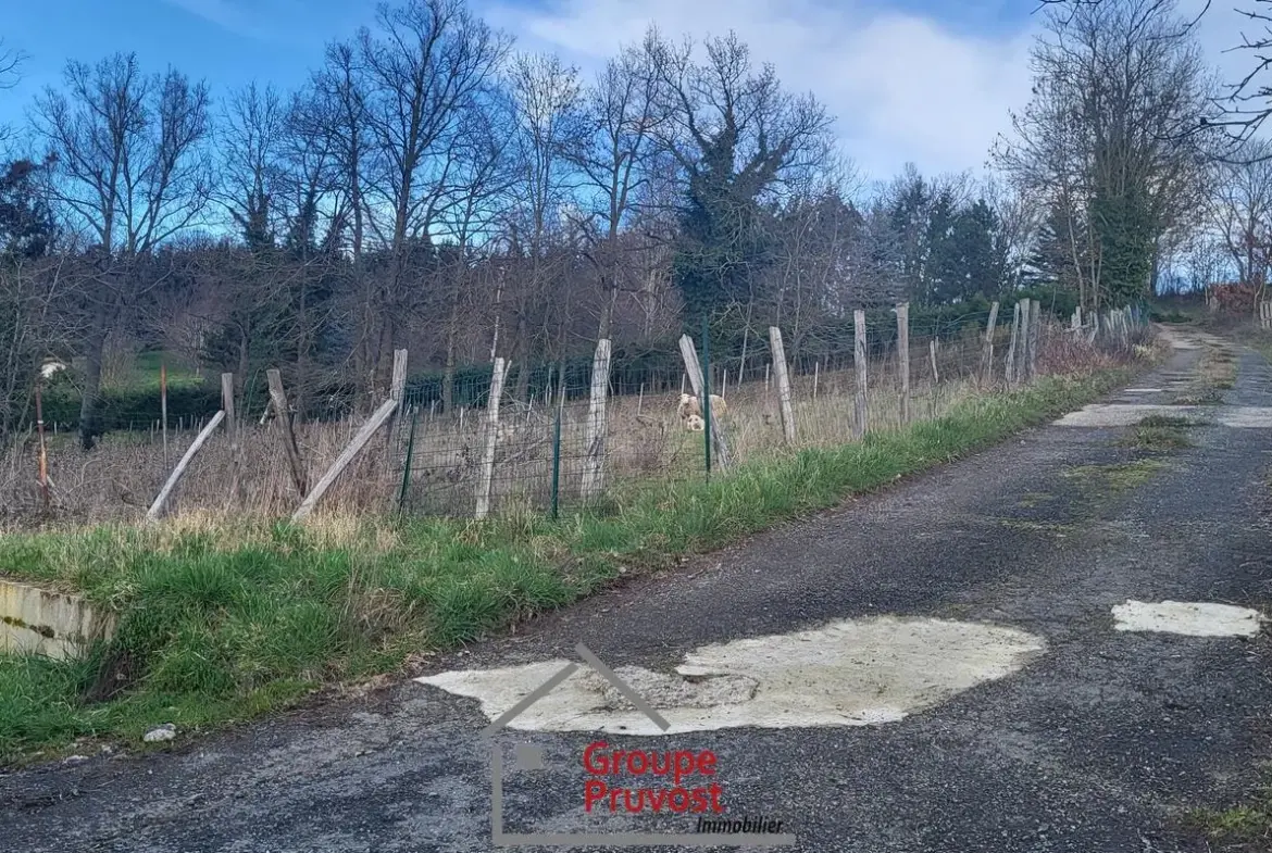 Maisons de campagne à Panissières à rénover avec grand terrain 