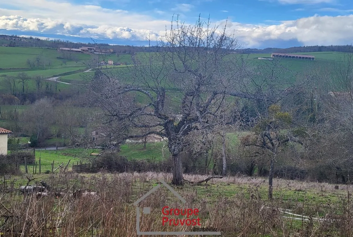 Maisons de campagne à Panissières à rénover avec grand terrain 