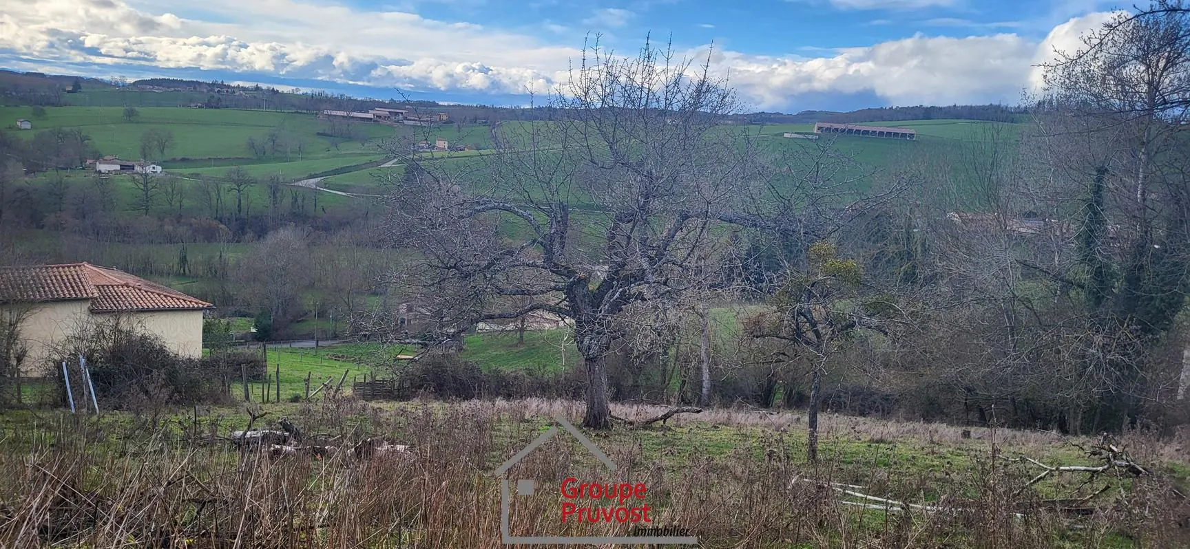 Maisons de campagne à Panissières à rénover avec grand terrain 