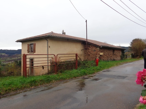 Maison en pierres à rénover avec dépendances et grand terrain à Ranchal 69470