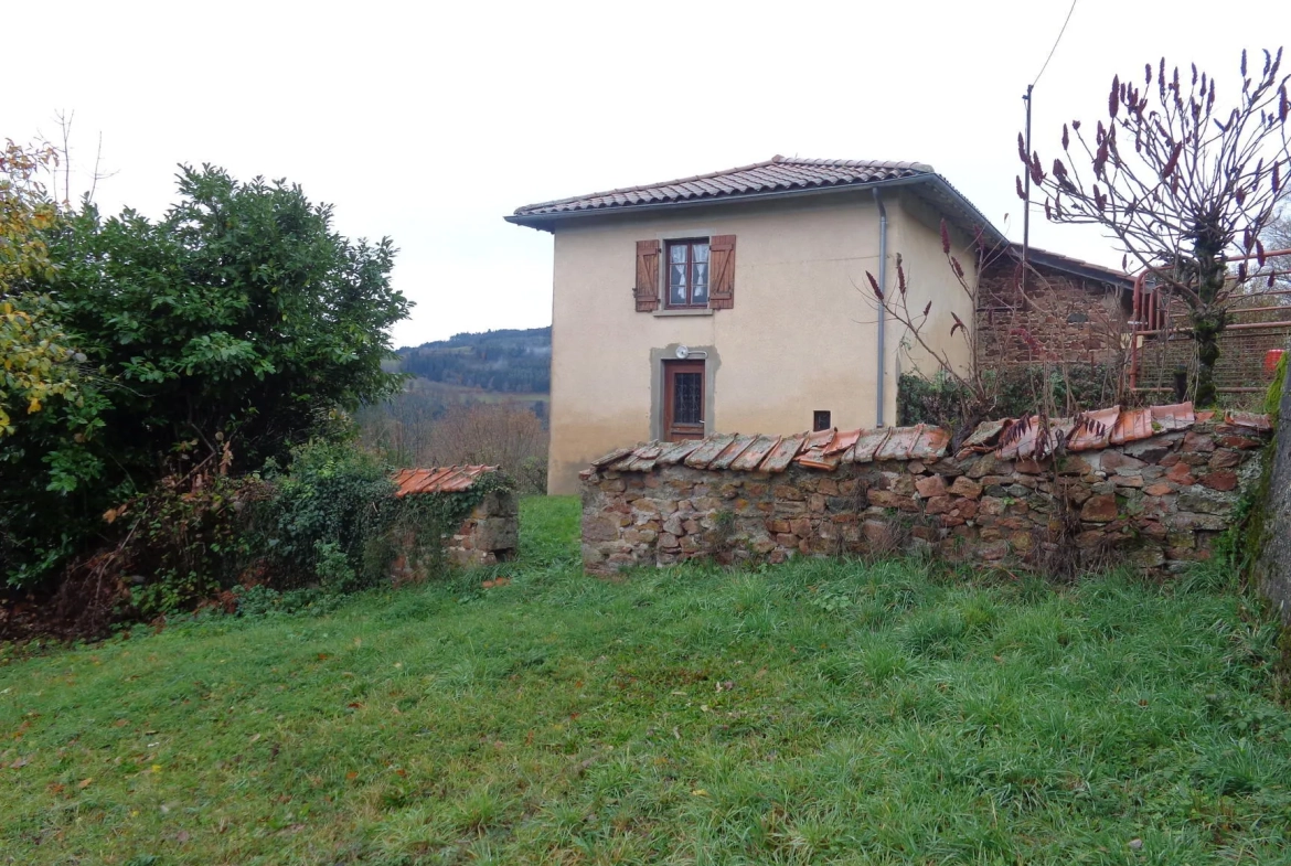Maison en pierres à rénover avec dépendances et grand terrain à Ranchal 69470 
