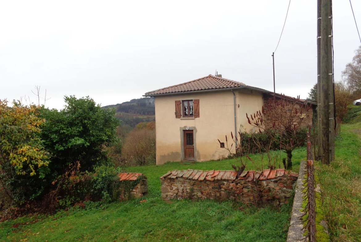 Maison en pierres à rénover avec dépendances et grand terrain à Ranchal 69470 
