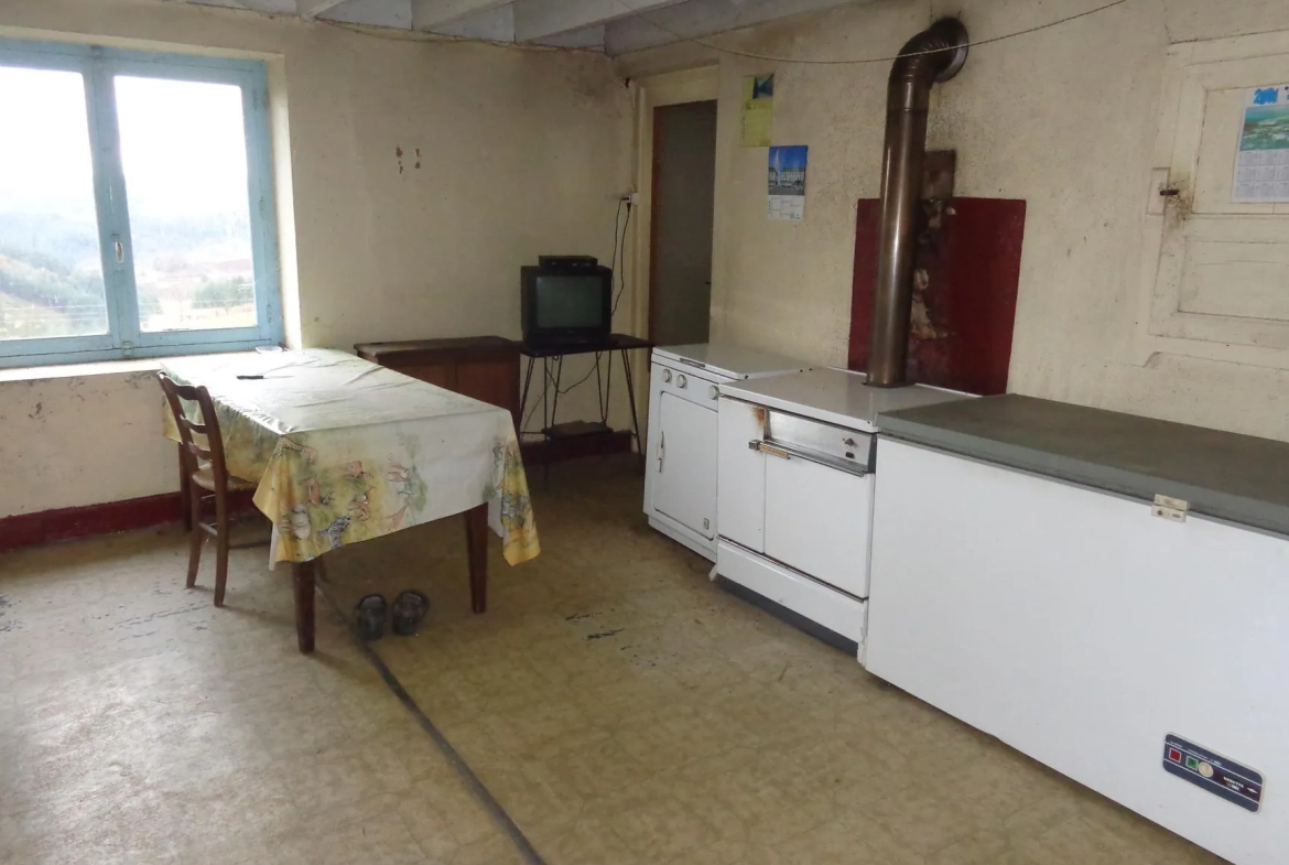 Maison en pierres à rénover avec dépendances et grand terrain à Ranchal 69470 