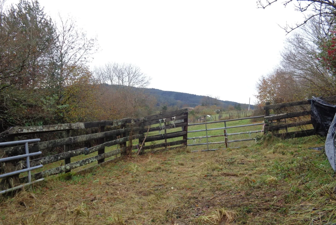 Maison en pierres à rénover avec dépendances et grand terrain à Ranchal 69470 