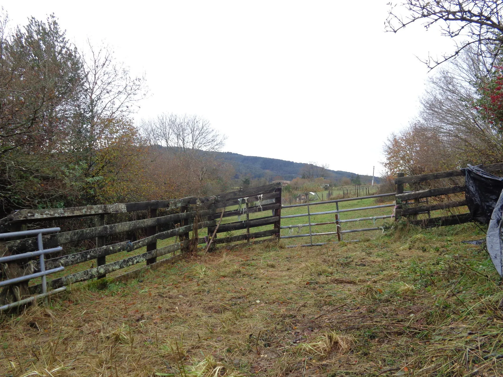 Maison en pierres à rénover avec dépendances et grand terrain à Ranchal 69470 
