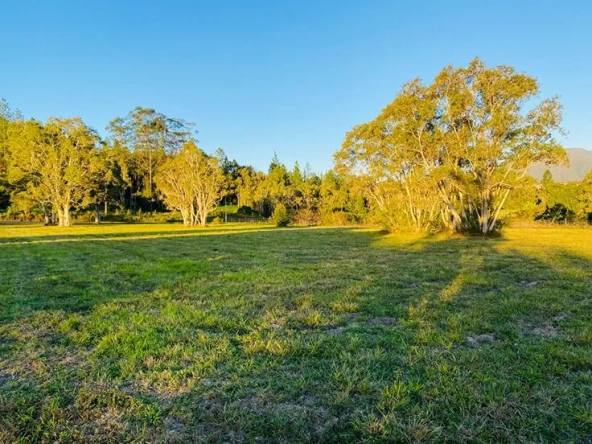 Terrain constructible à Paillet de 800 m² pour votre future maison