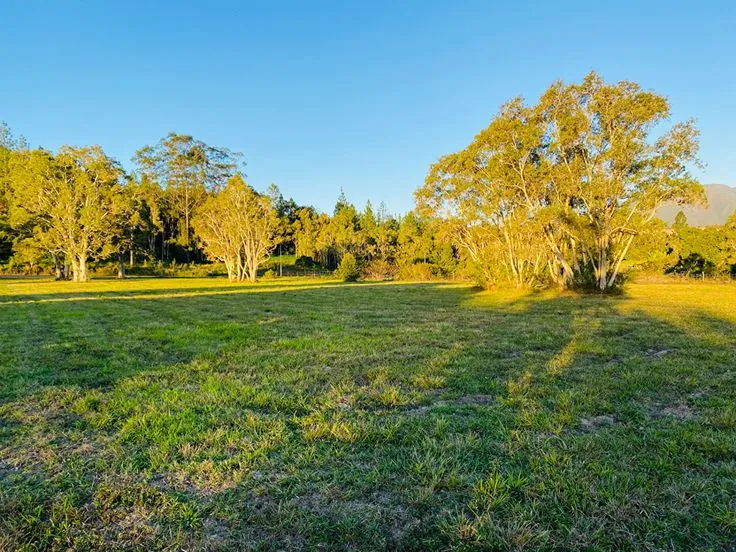 Terrain constructible à Paillet de 800 m² pour votre future maison 