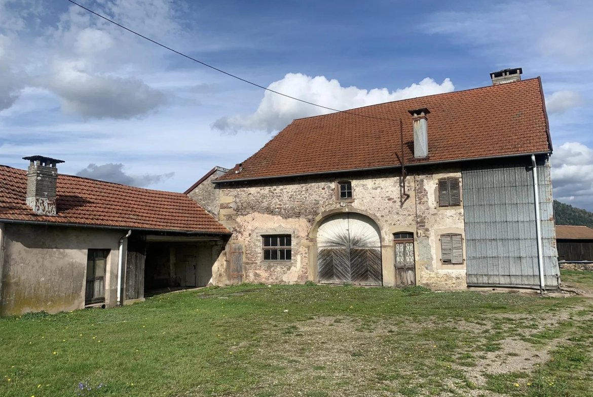 Grande ferme à rénover à Remiremont avec potentiel exceptionnel 