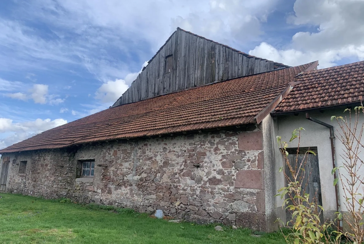 Grande ferme à rénover à Remiremont avec potentiel exceptionnel 