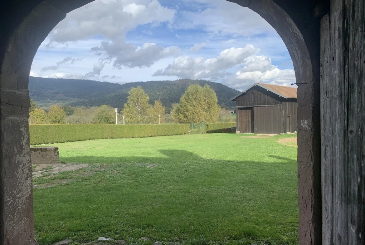 Grande ferme à rénover à Remiremont avec potentiel exceptionnel 
