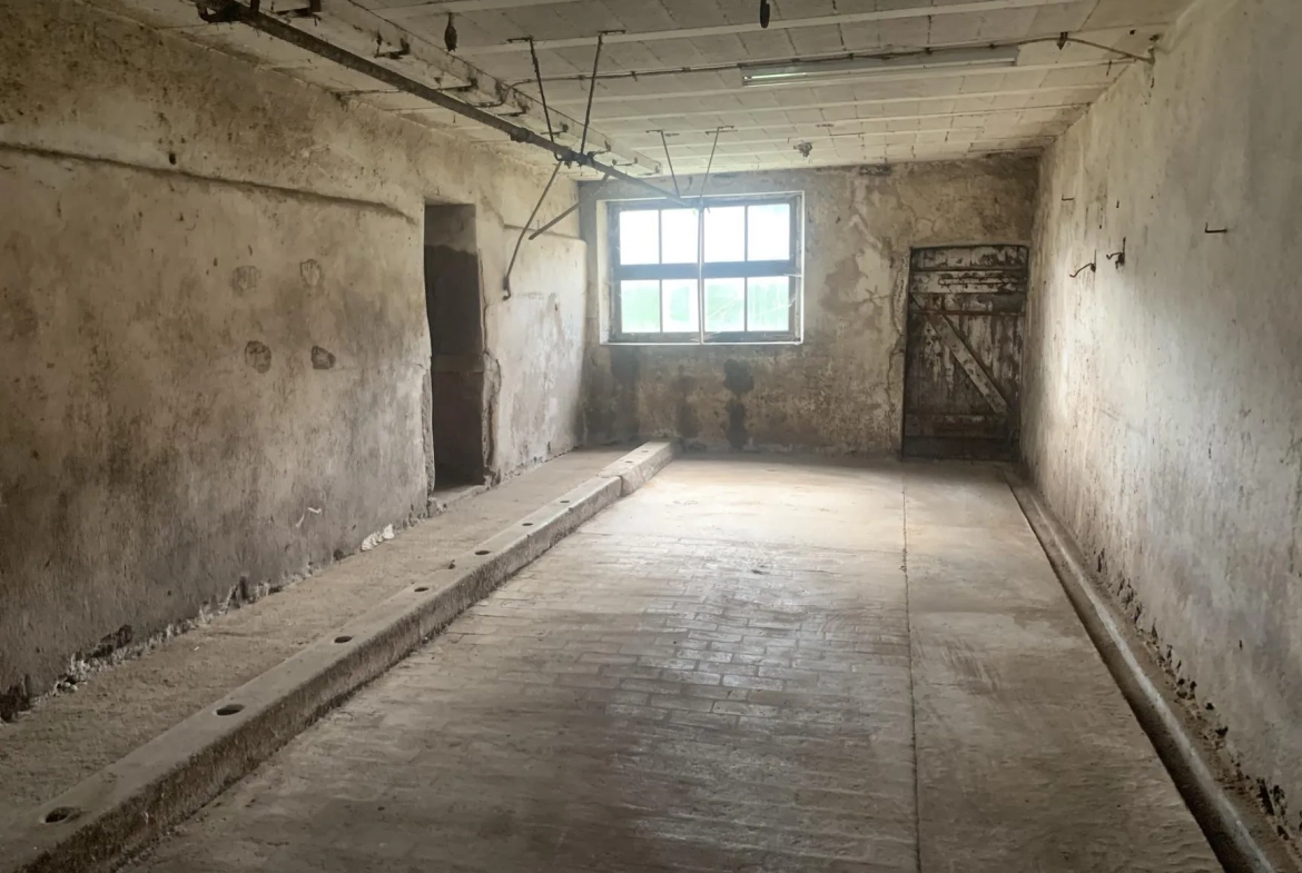 Grande ferme à rénover à Remiremont avec potentiel exceptionnel 