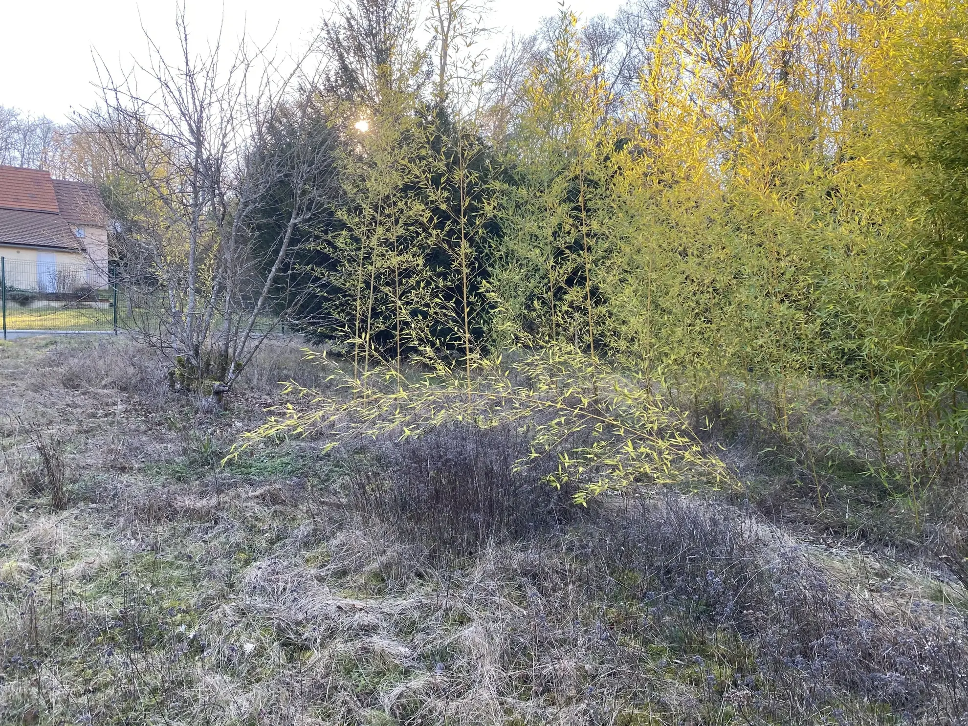 Terrain à bâtir de 285 m² à Dreux, proximité Vernouillet, idéal pour votre projet écologique 