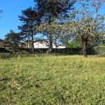 Terrain constructible de 650 m² à Barsac - Environnement calme et possibilité de projets divers