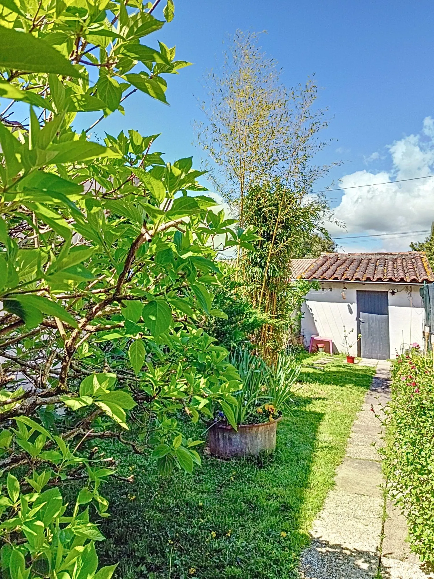 Maison ancienne à vendre à Albi de 98 m² avec terrasse et 3 chambres 
