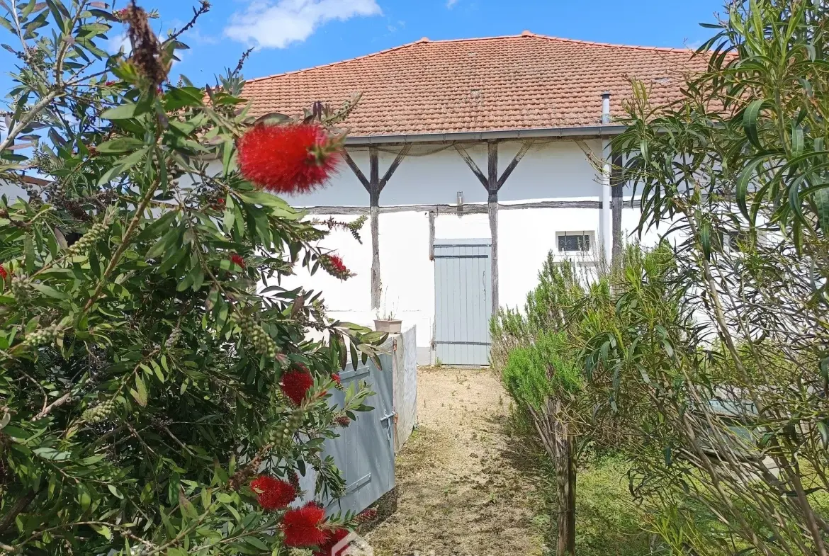 Belle maison renovée de 167 m² avec grand terrain à Brassempouy 