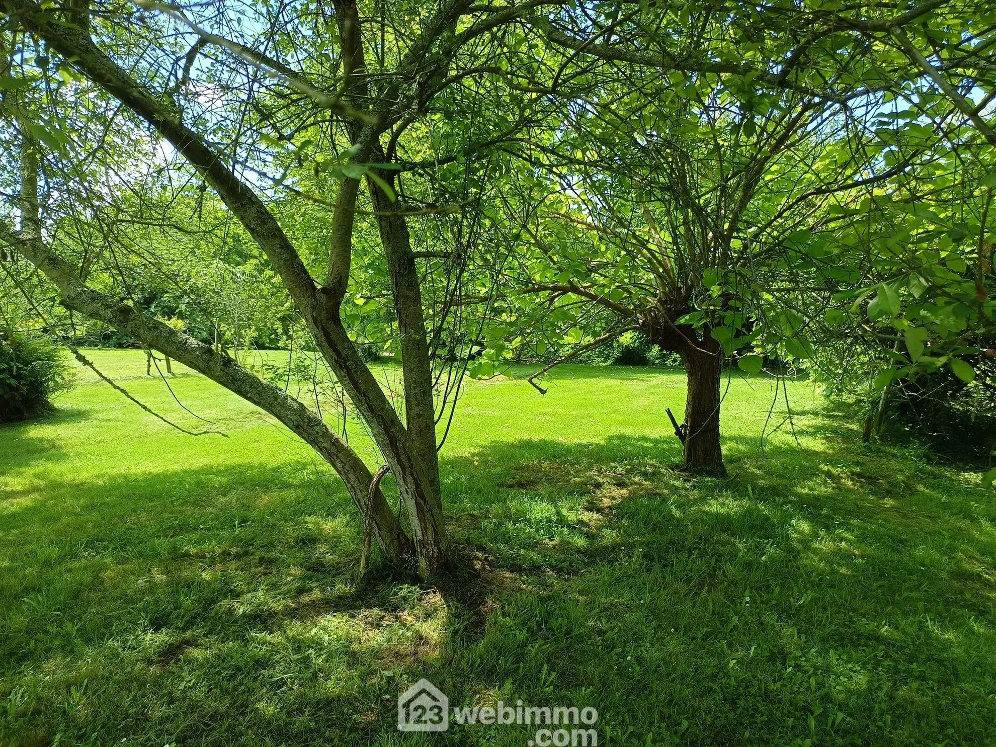 Belle maison renovée de 167 m² avec grand terrain à Brassempouy 
