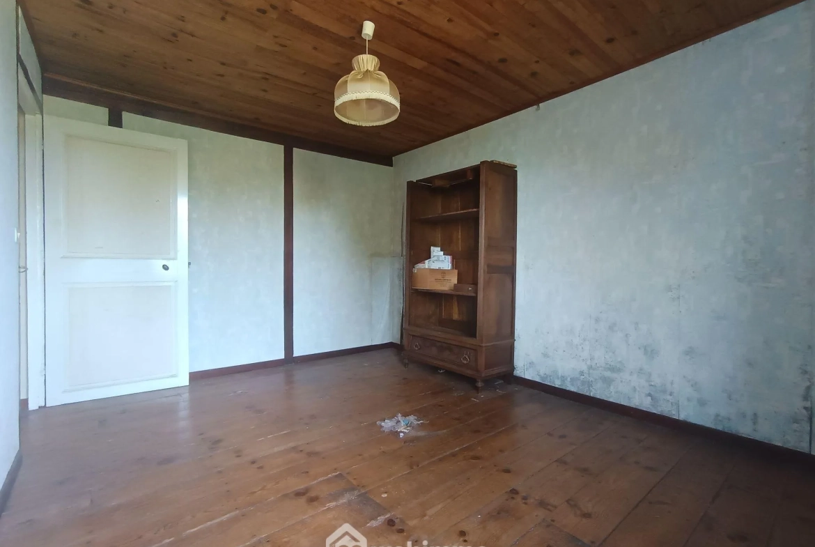 Belle maison renovée de 167 m² avec grand terrain à Brassempouy 
