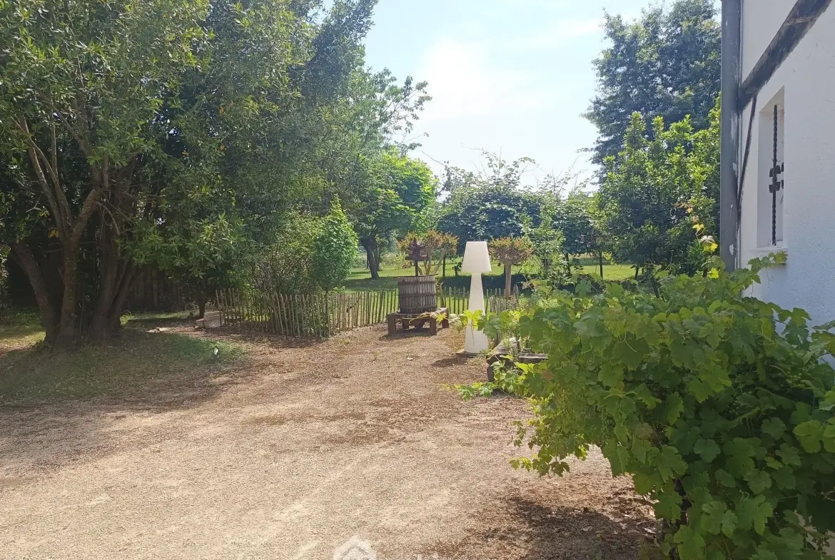 Belle maison renovée de 167 m² avec grand terrain à Brassempouy 
