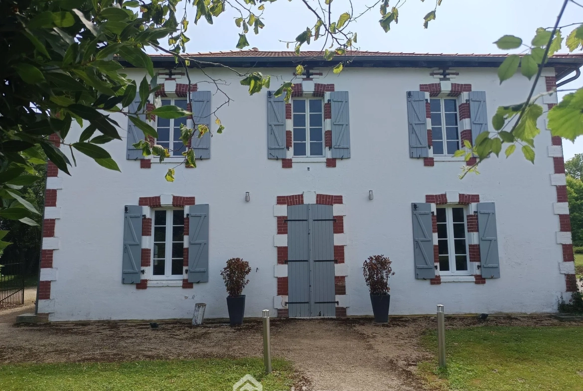 Belle maison renovée de 167 m² avec grand terrain à Brassempouy 