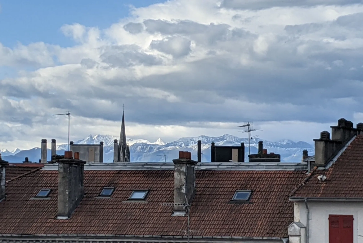 Appartement T3 rénové avec terrasse rooftop à Pau - Centre-ville 