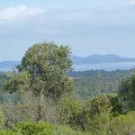 Terrain non constructible de 18 200 m² avec vue mer à La Londe-les-Maures