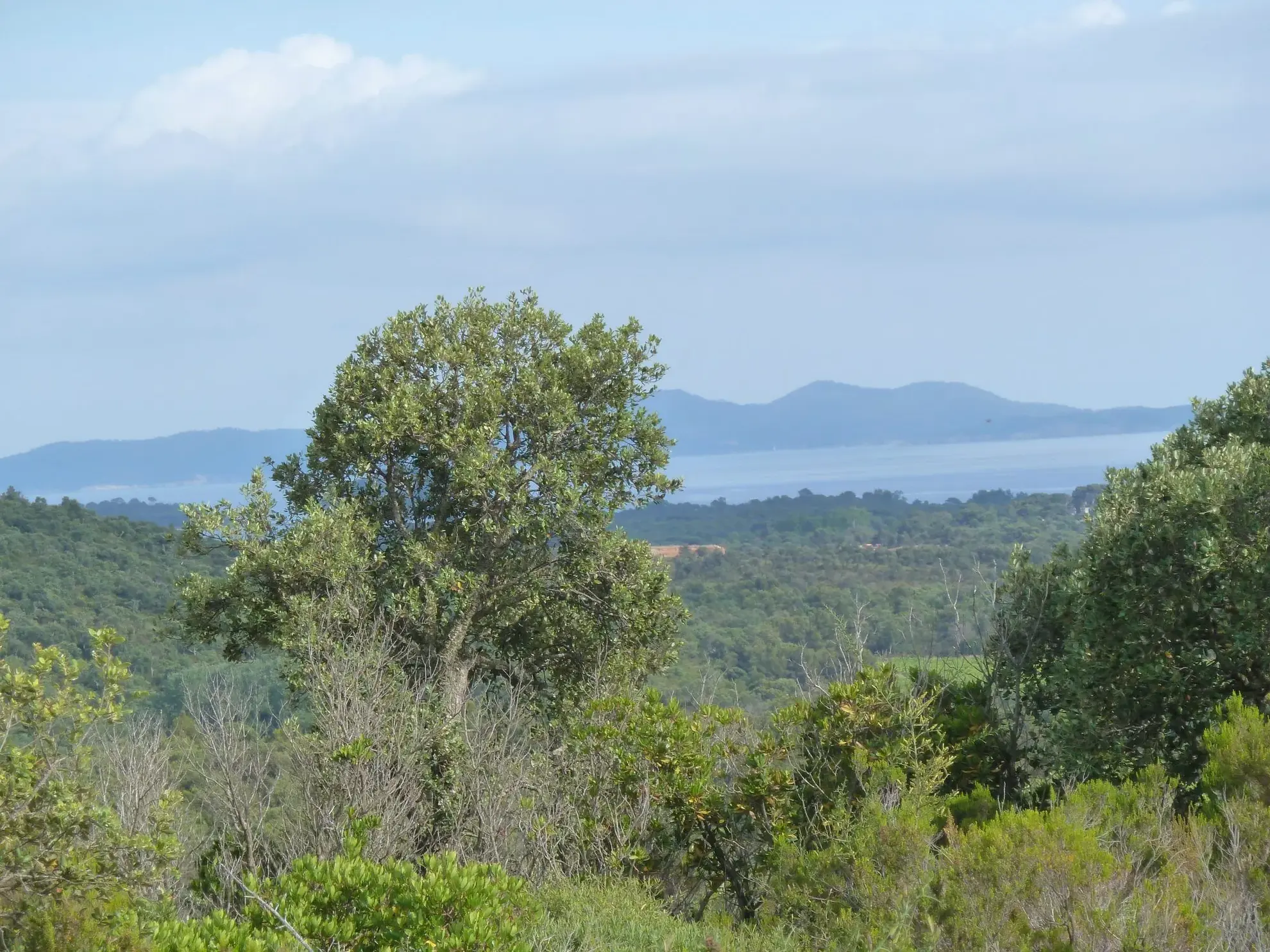 Terrain non constructible de 18 200 m² avec vue mer à La Londe-les-Maures 