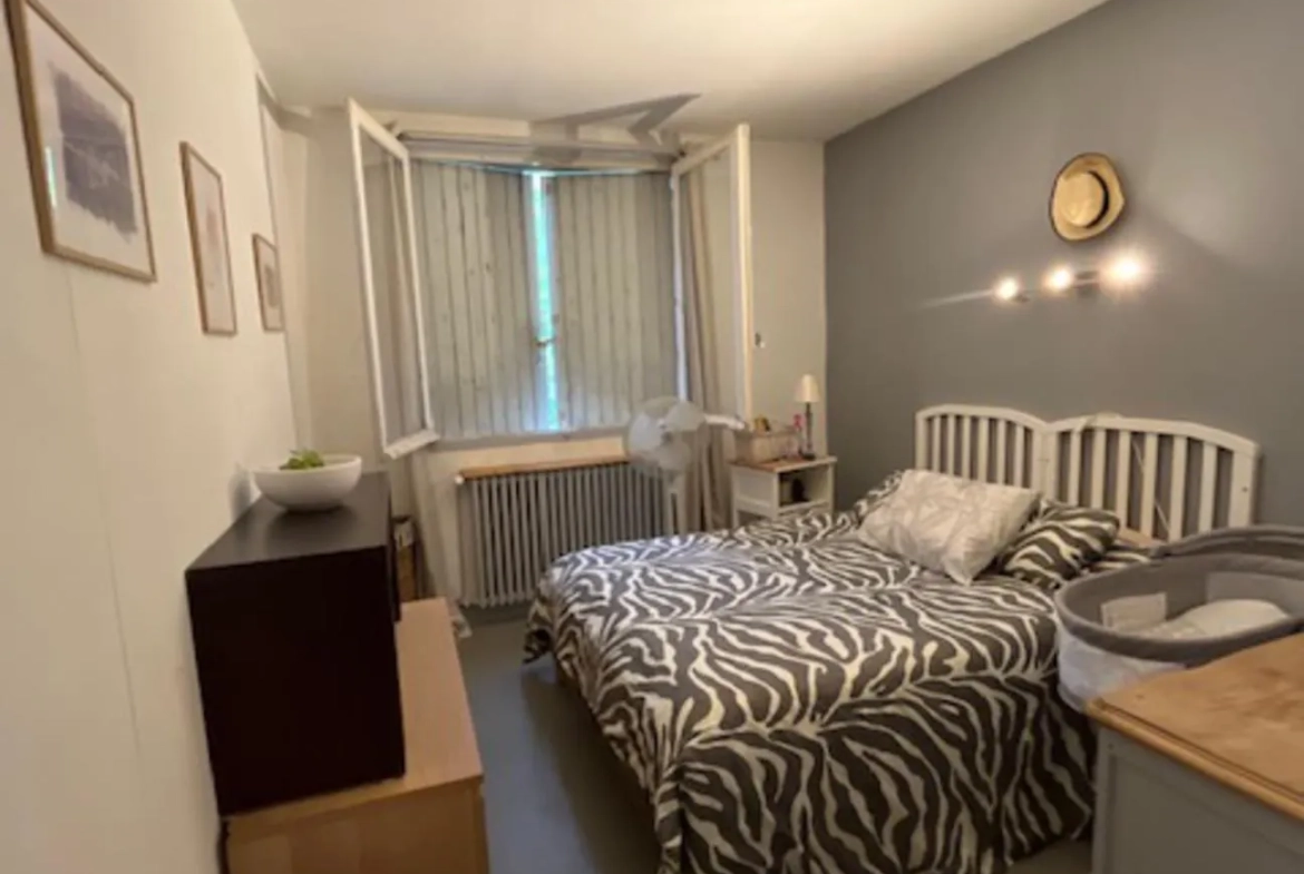 Immeuble à rénover à Carmaux avec 2 appartements, garages et jardin 
