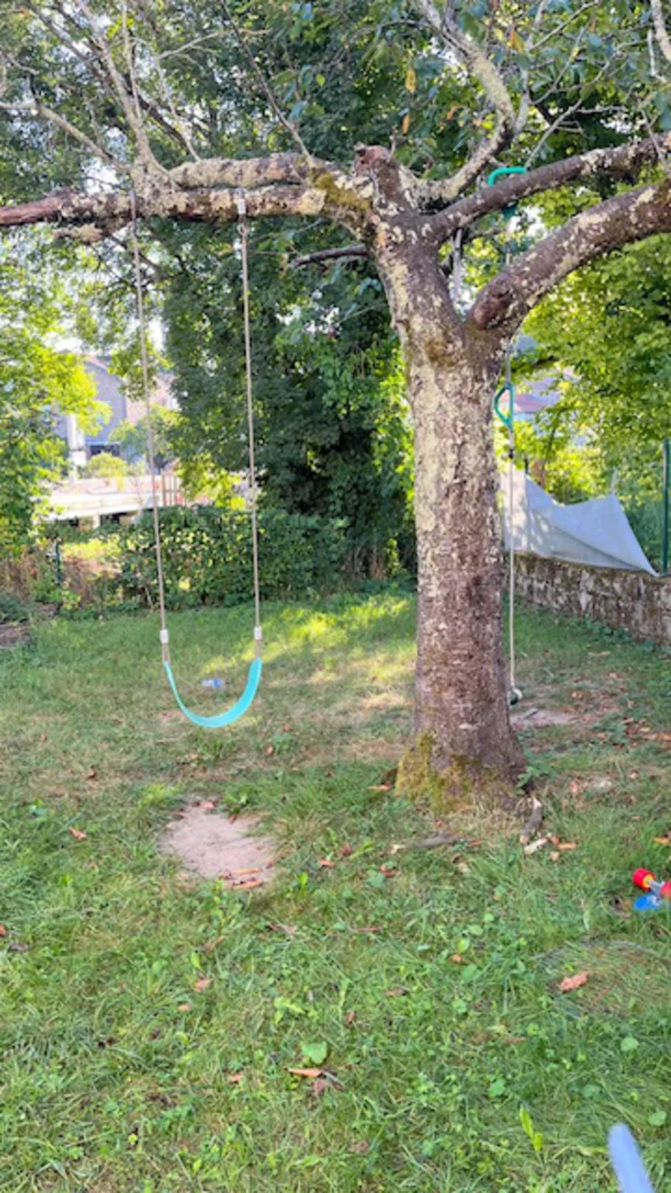 Immeuble à rénover à Carmaux avec 2 appartements, garages et jardin 
