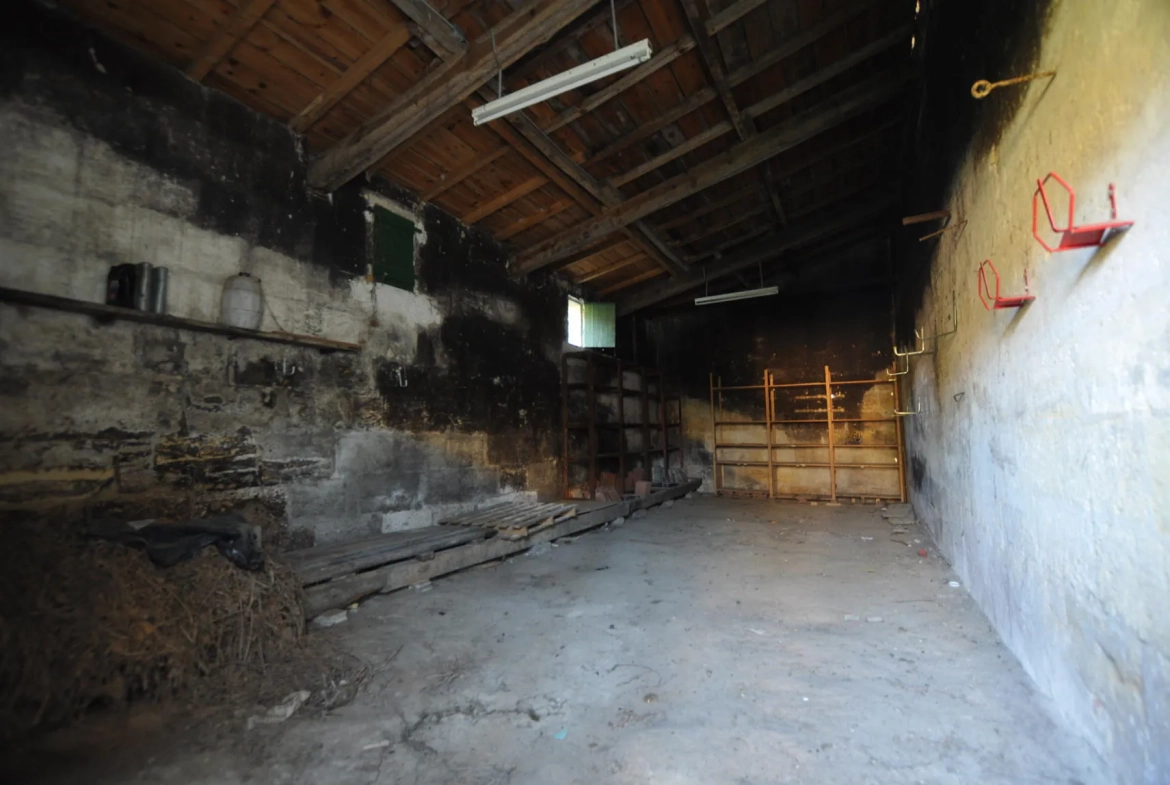 Maison girondine à rénover avec dépendances et appartement à Lestiac-sur-Garonne 