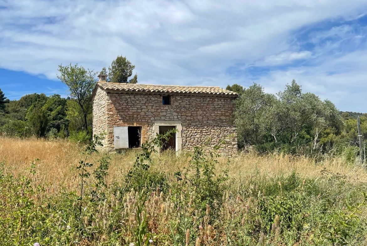 Cabanon provençal authentique de 18 m² à Gordes en zone agricole 