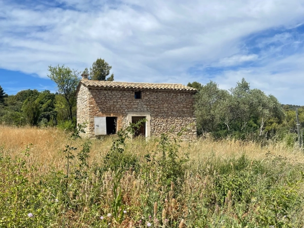 Cabanon provençal authentique de 18 m² à Gordes en zone agricole