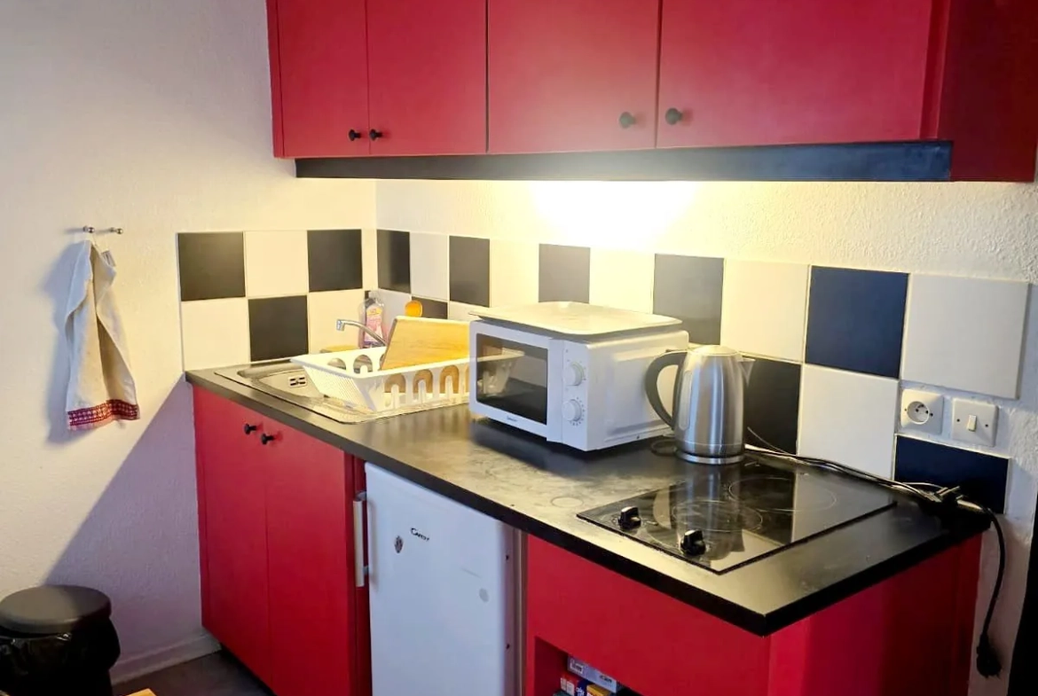Studio meublé de 32,75 m² à Strasbourg Krutenau, idéal investisseur 