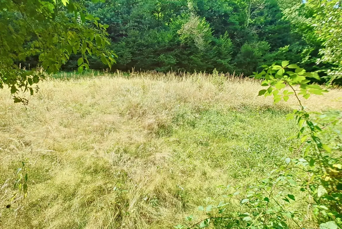 Terrain constructible de 1466 m² à Châtonnay avec projet de maison modulable 