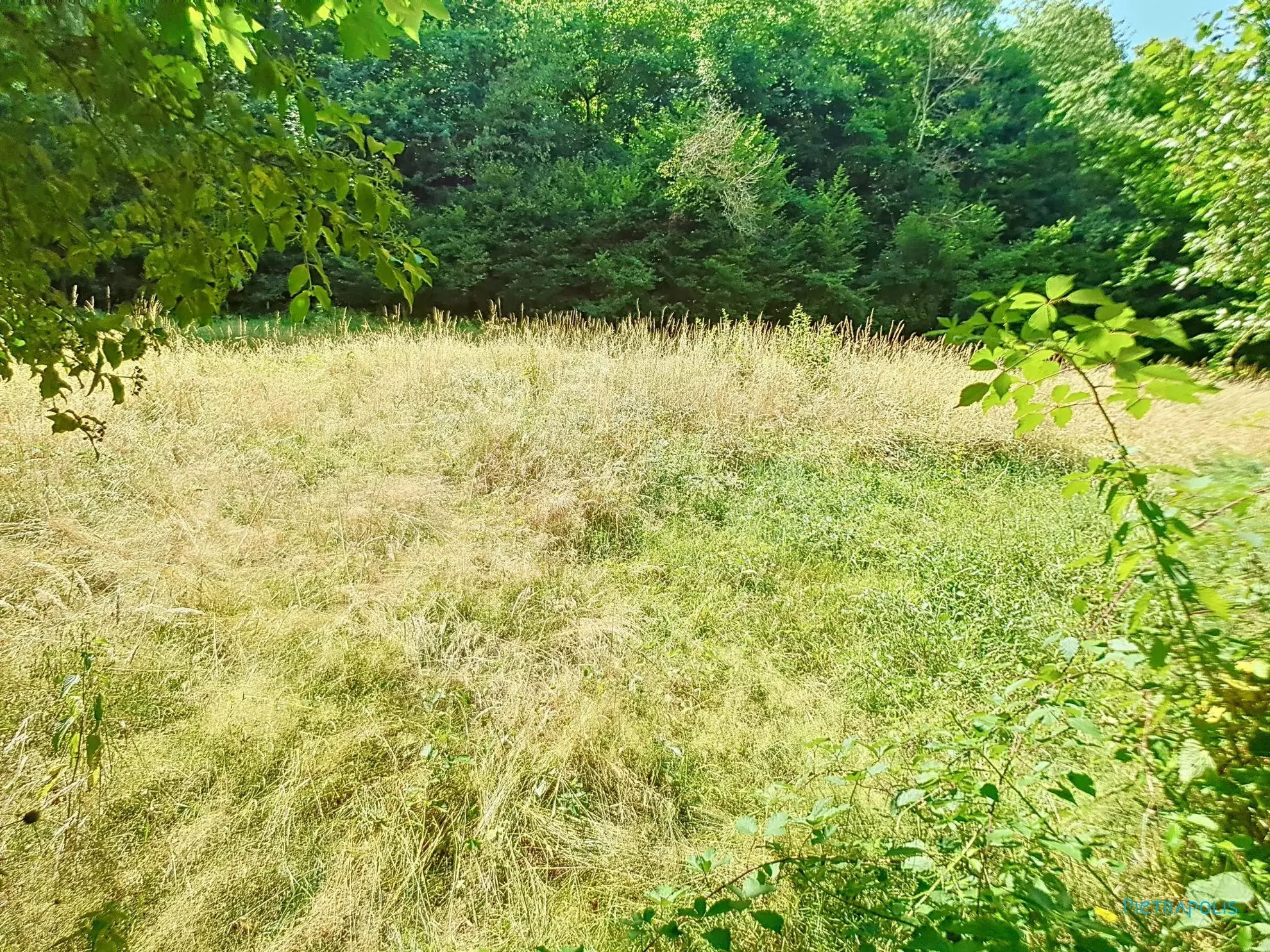 Terrain constructible de 1466 m² à Châtonnay avec projet de maison modulable 