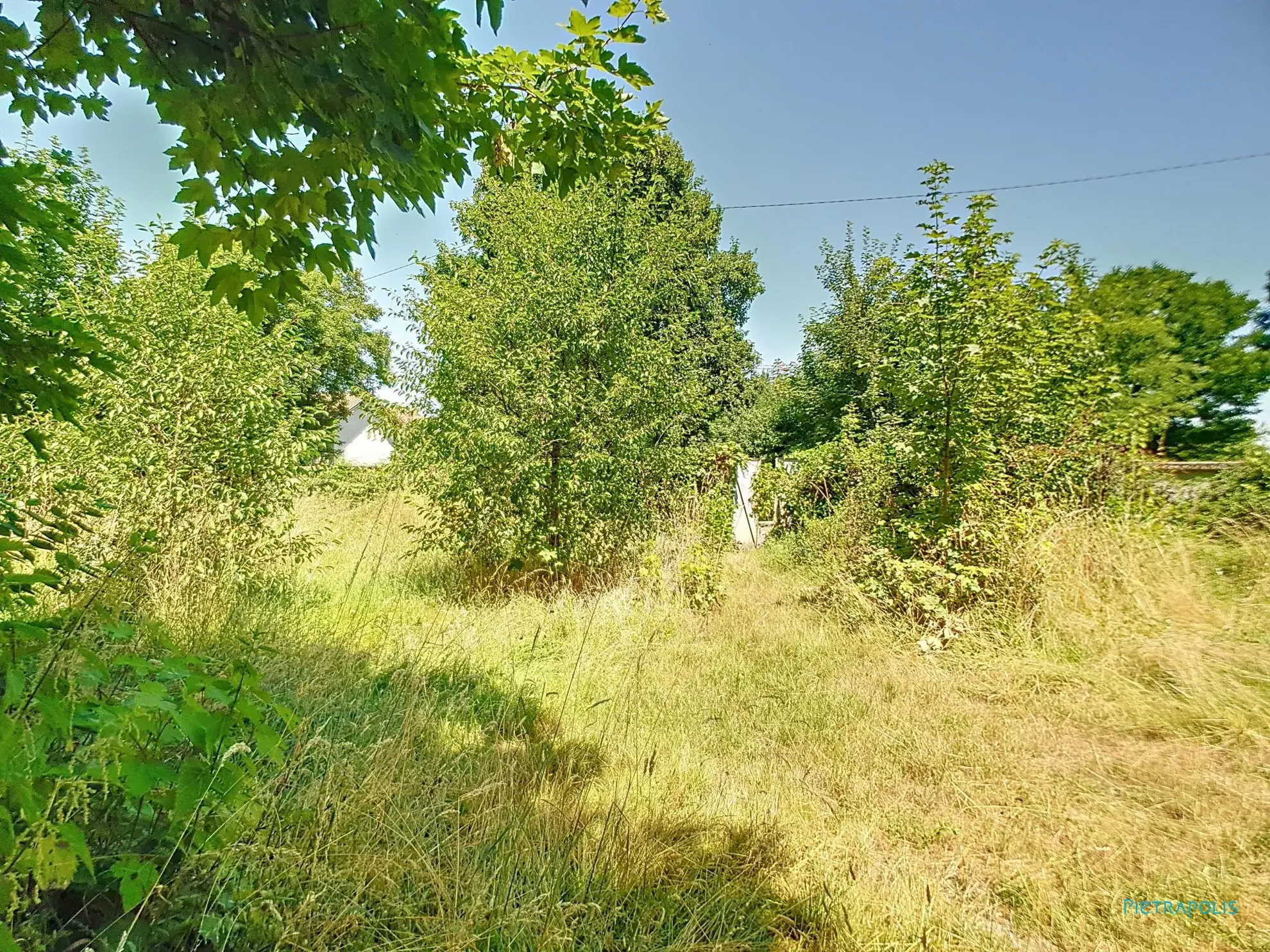 Terrain constructible de 1466 m² à Châtonnay avec projet de maison modulable 