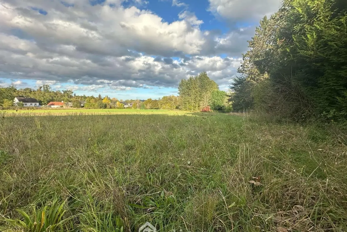 Terrain à bâtir de 1178 m² à Mons-en-Laonnois – Opportunité à saisir 