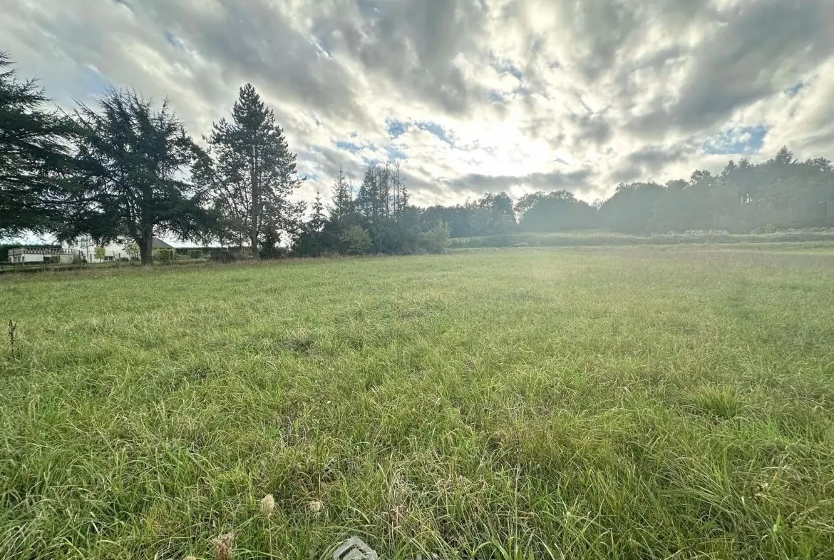 Terrain à bâtir de 1178 m² à Mons-en-Laonnois – Opportunité à saisir 
