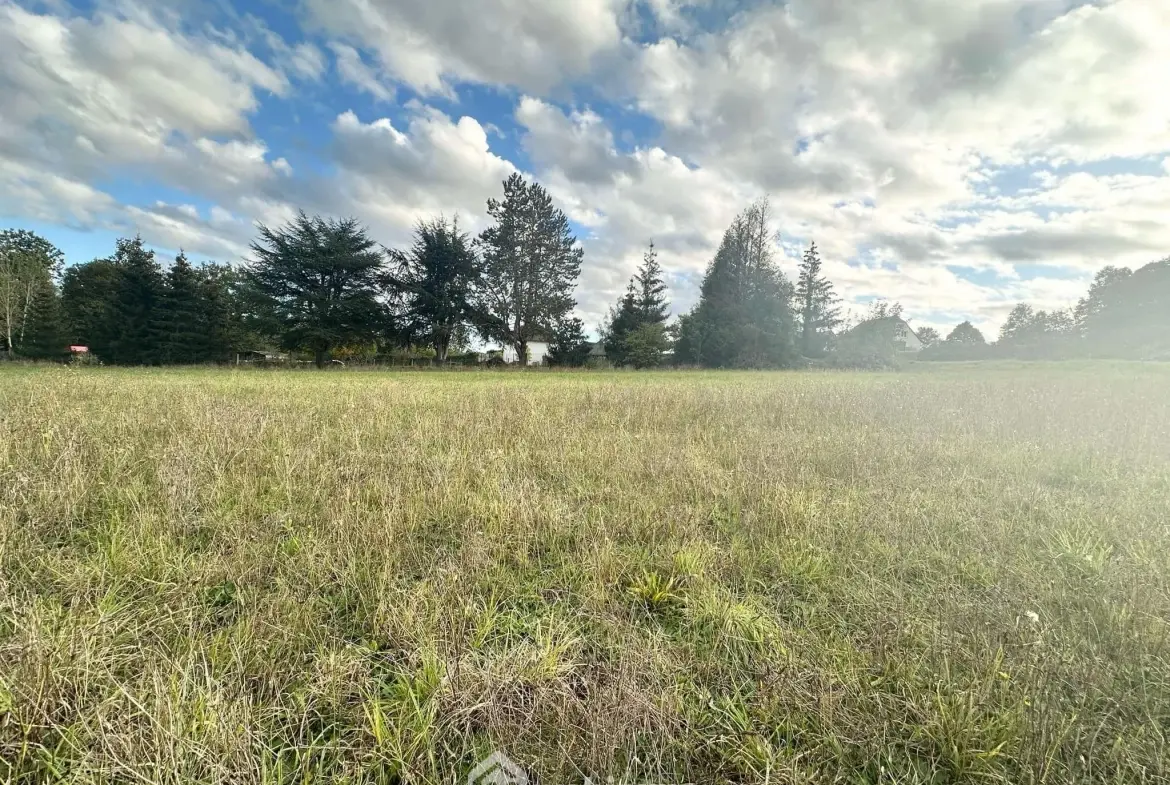 Terrain à bâtir de 1178 m² à Mons-en-Laonnois – Opportunité à saisir 