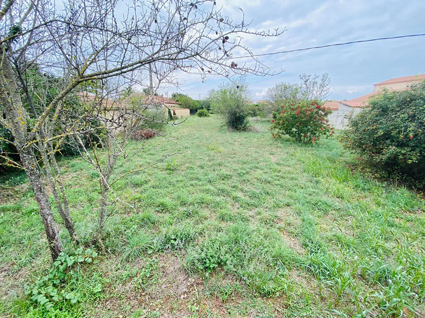Terrain constructible de 1833 m² à Bollène - Projet de construction flexible 