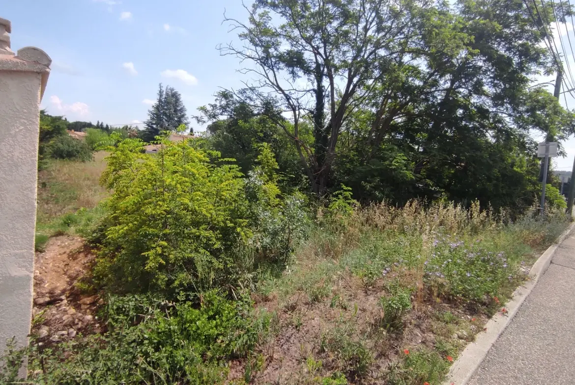 Terrain constructible de 1833 m² à Bollène - Projet de construction flexible 