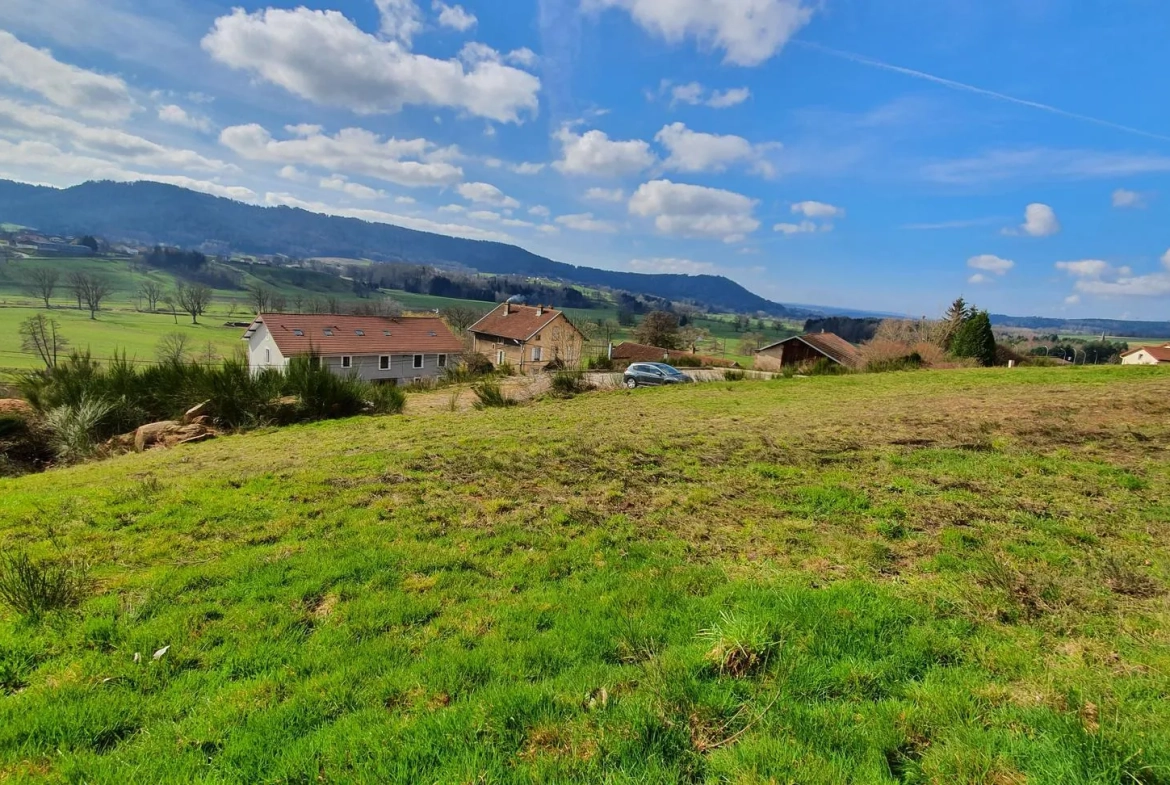 Terrain constructible de 997 m² à Lepanges-sur-Vologne – Viabilisé et prêt à bâtir 